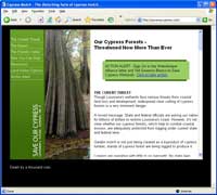 Save Our Cypress
